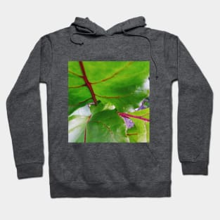 Red Beet Foliage Hoodie